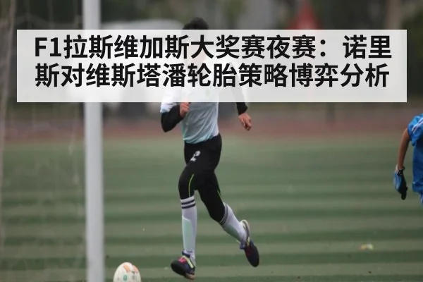 F1拉斯维加斯大奖赛夜赛：诺里斯对维斯塔潘轮胎策略博弈分析 | kaiyun